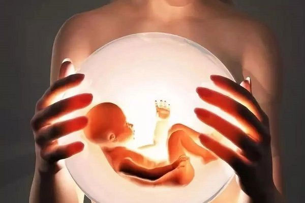 试管胚胎的品质是决策做试管婴儿通过率的关键要素