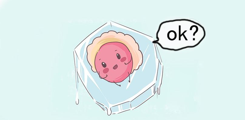 冷冻胚胎移植成功率是多少