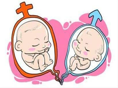 胚胎移植是不是移植胚胎数越多越好？