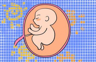 赴俄罗斯做试管婴儿如何生双胎？