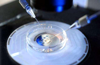 胚胎级别越高，俄罗斯试管基因检测通过率也越高吗？
