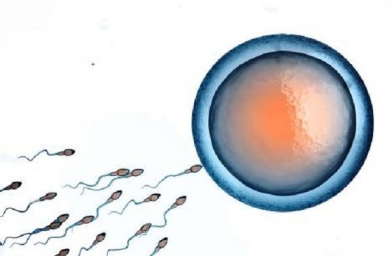 卵巢早衰可以做试管婴儿的成功率不高