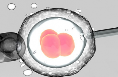 6bb囊胚质量好不好 移植成功率高吗