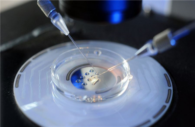 什么是试管婴儿胚胎培养液？